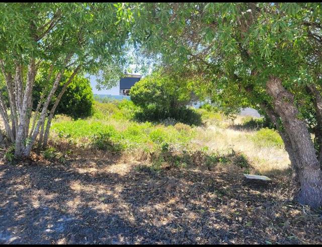 LAND FOR SALE IN KLEINBAAI